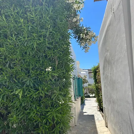 Villa Luxury House With Swimming Pool In Mykonos Ornos (Mykonos)